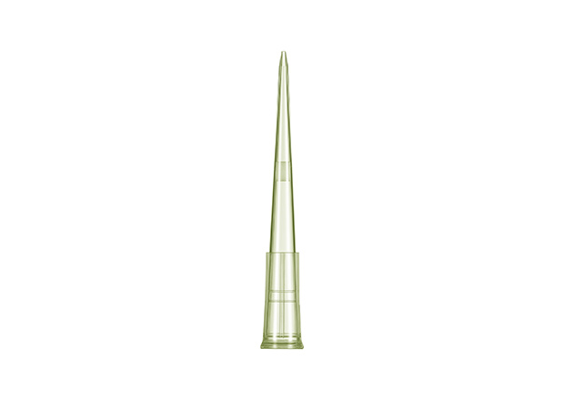 UFPT-F-20