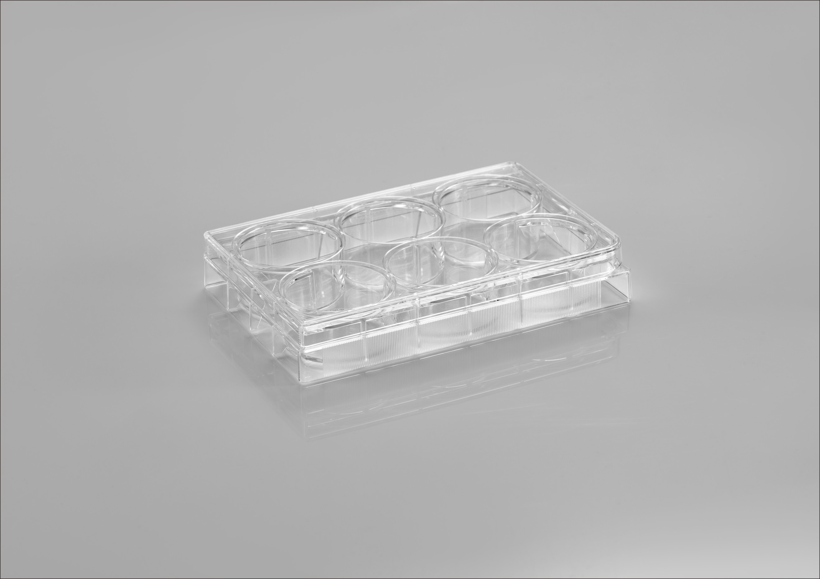 CL-PET006