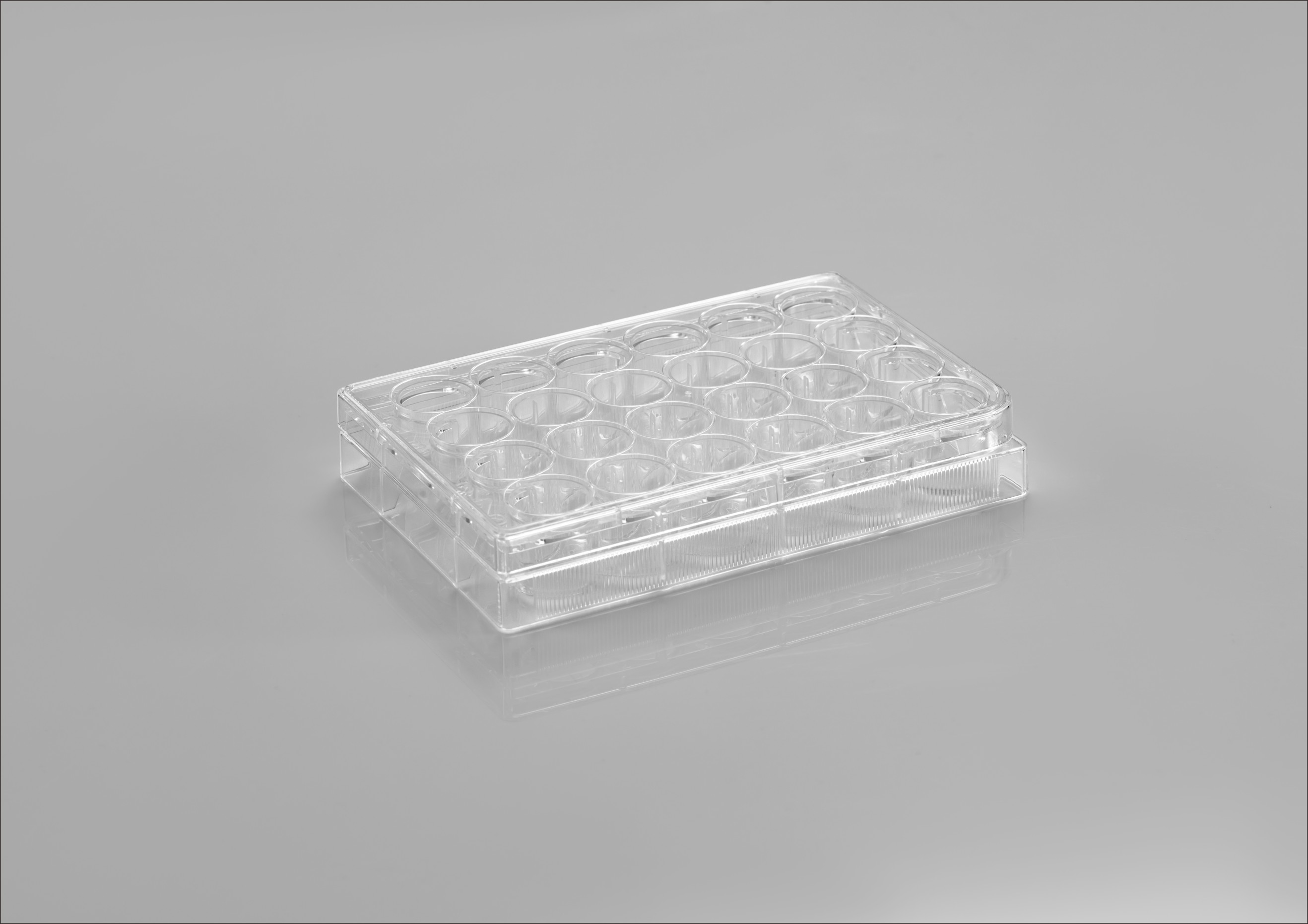CL-P024
