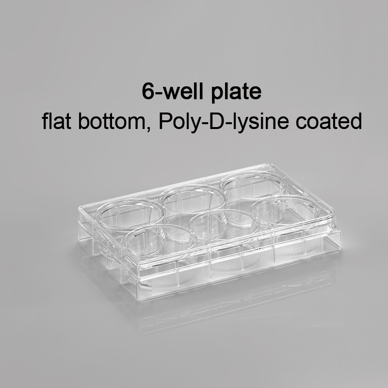 CL-PP006