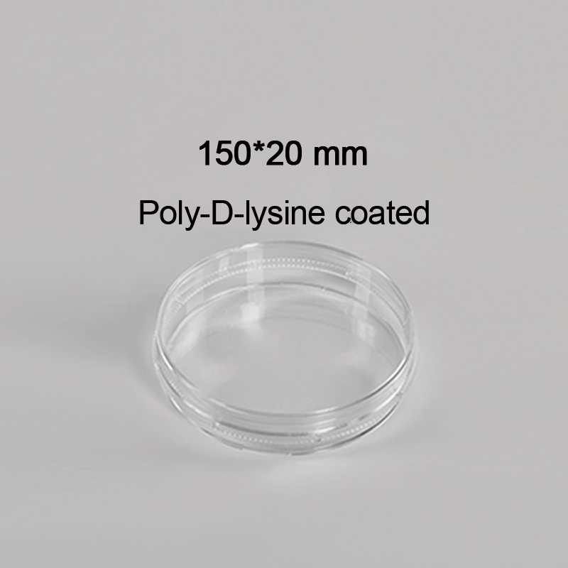 CL-DP150