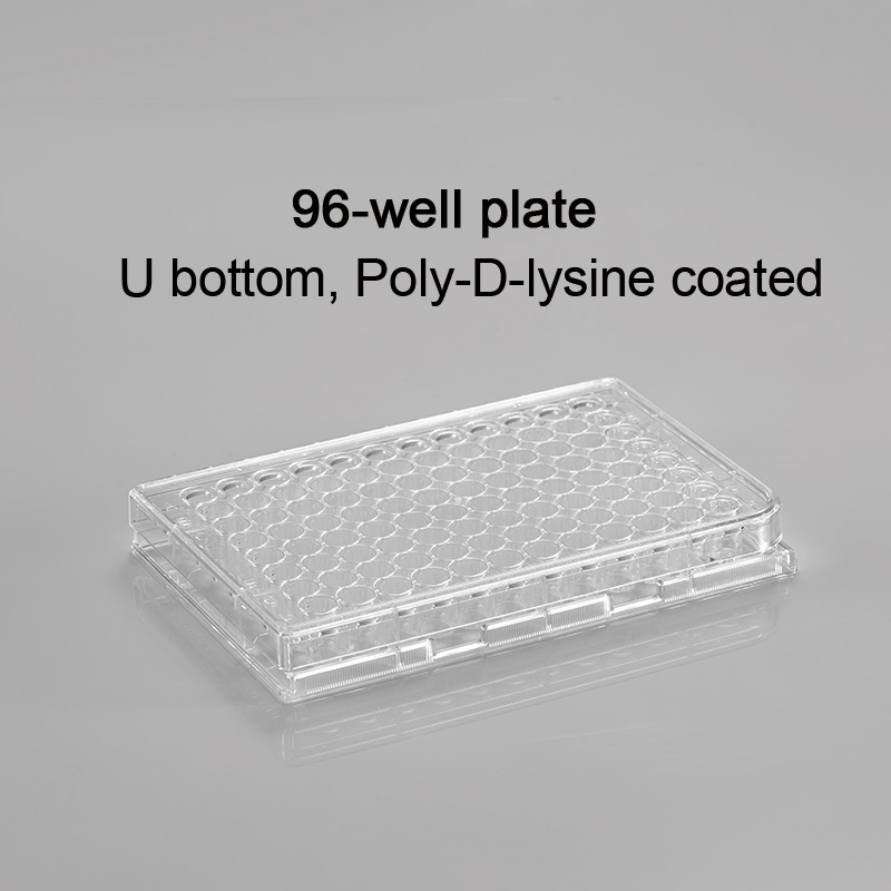 CL-PP096U