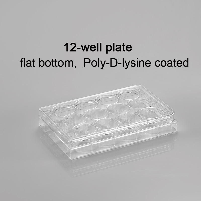 CL-PP012