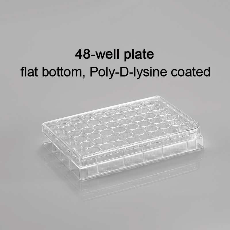 CL-PP048