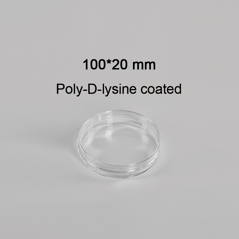 CL-DP100