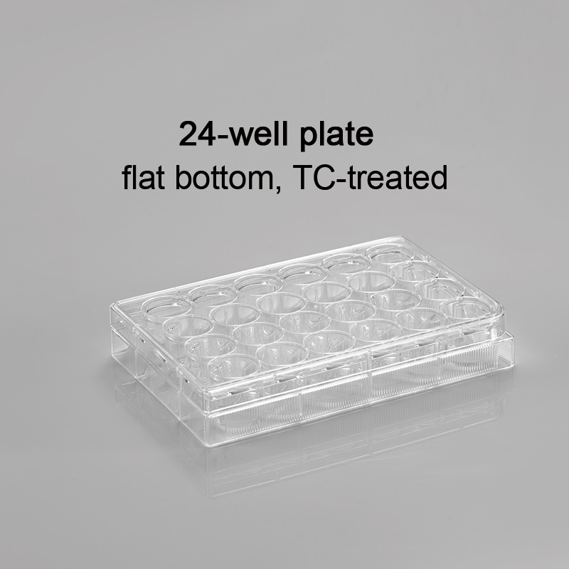 CL-PT024