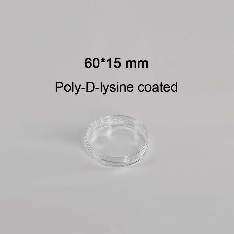 CL-DP060