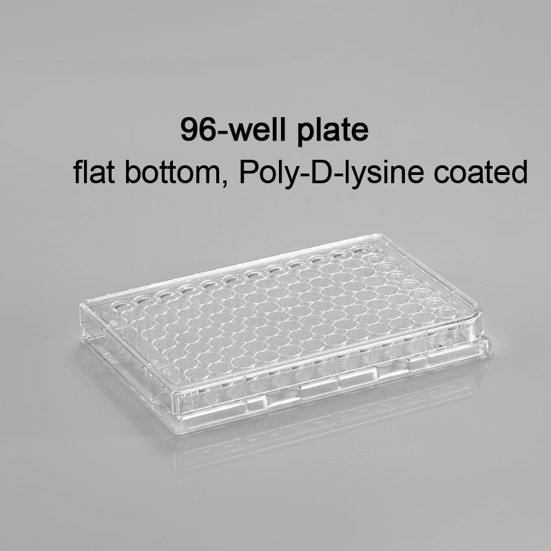 CL-PP096