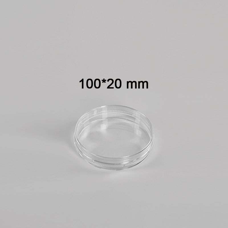 100*20mm