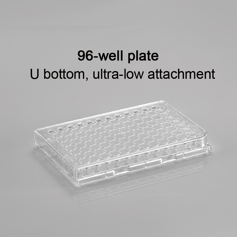 CL-PL096U