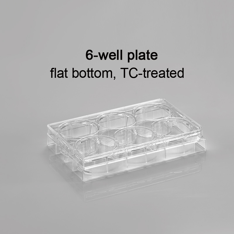 CL-PT006