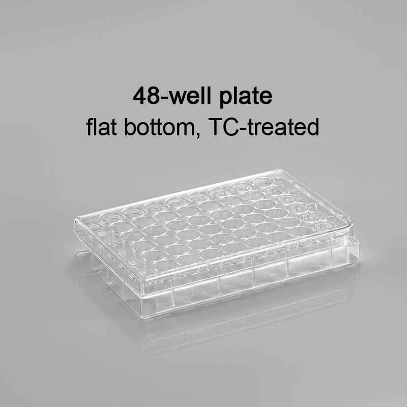 CL-PT048